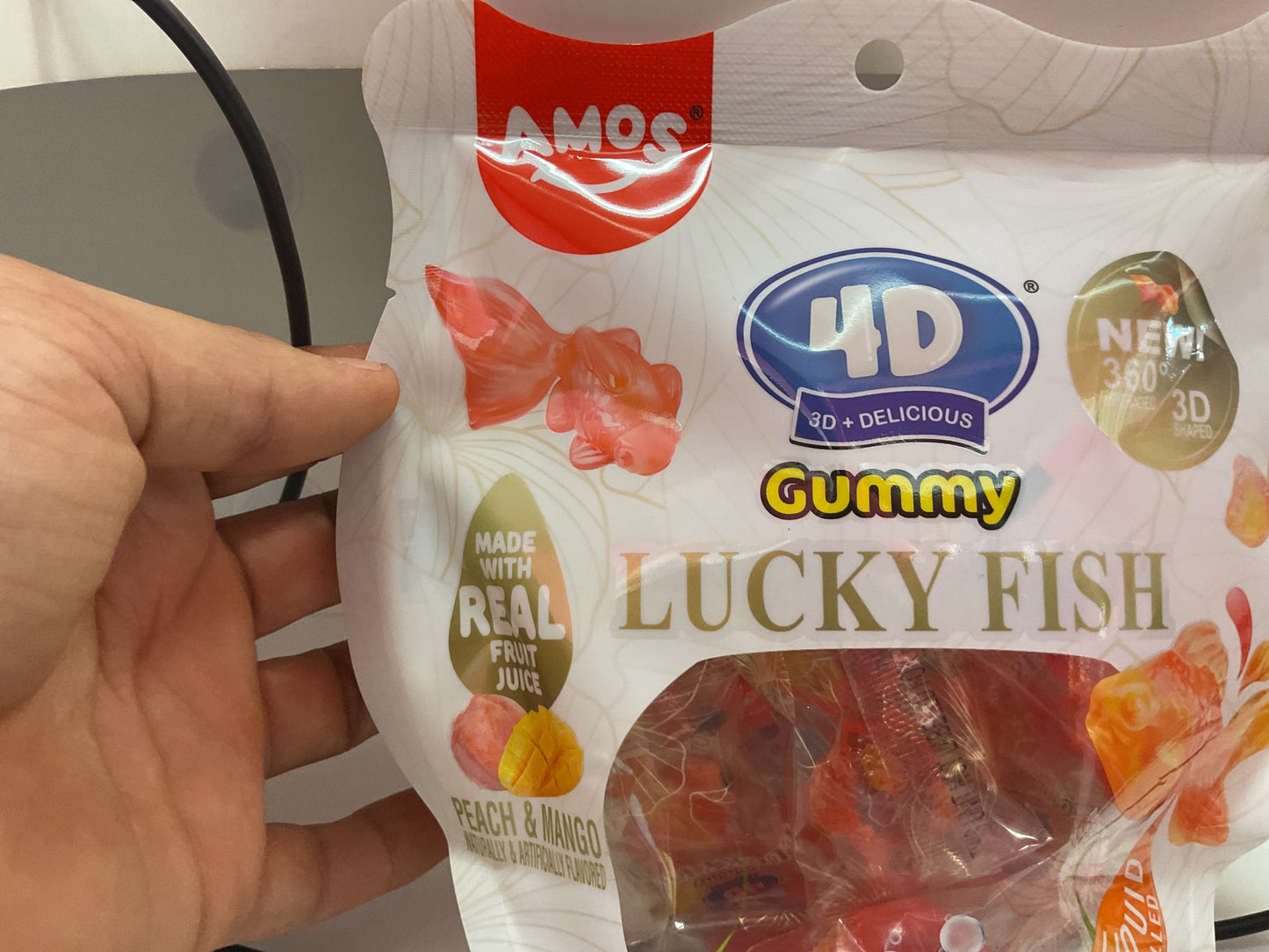 Chummy lucky fish
